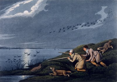 Wild Fowl Shooting by Henry Thomas Alken